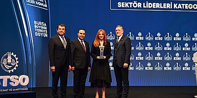 Uludağ Elektrik 2024 Yılını Sektör Lideri Ödülüyle Kapattı