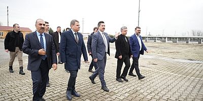 Yenişehir'de Canlı Hayvan Pazarı Yeniden Açıldı