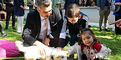 Yıldırım Belediyesi'nden  Şefkat Yuvası